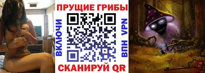 гидра как войти Шагонар Псилоцибиновые грибы Psilocybine cubensis