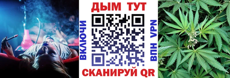 Шишки марихуана гибрид  Шагонар 
